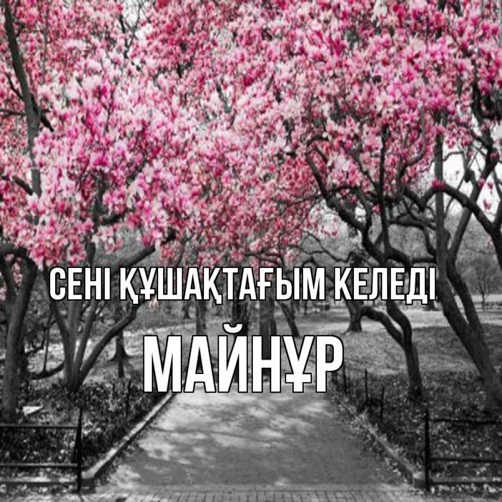 Күн сайын ашық хат с именем, МАЙНҰР сені құшақтағым келеді обработанное фото Онлайн тегін жүктеп алу тілектері бар керемет карта 