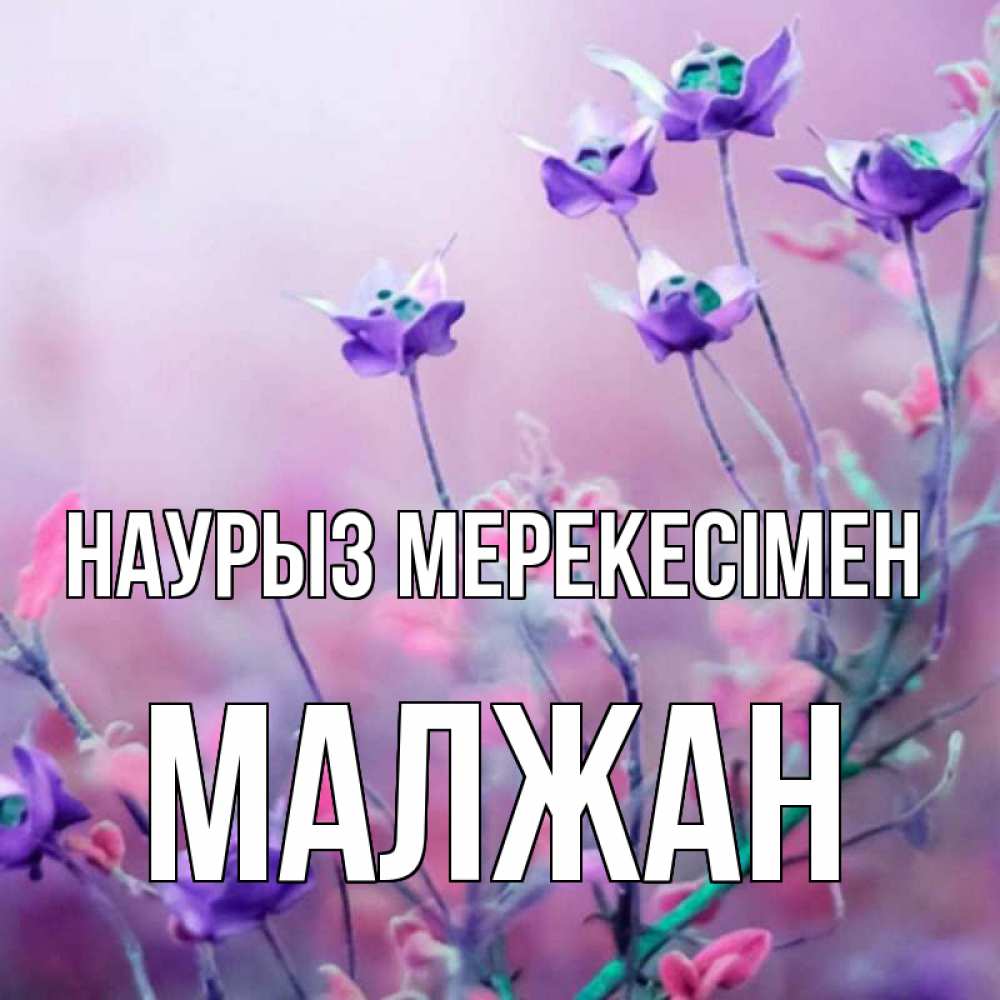 Күн сайын ашық хат с именем, МАЛЖАН Наурыз мерекесімен международный женский день 2 Онлайн тегін жүктеп алу тілектері бар керемет карта 