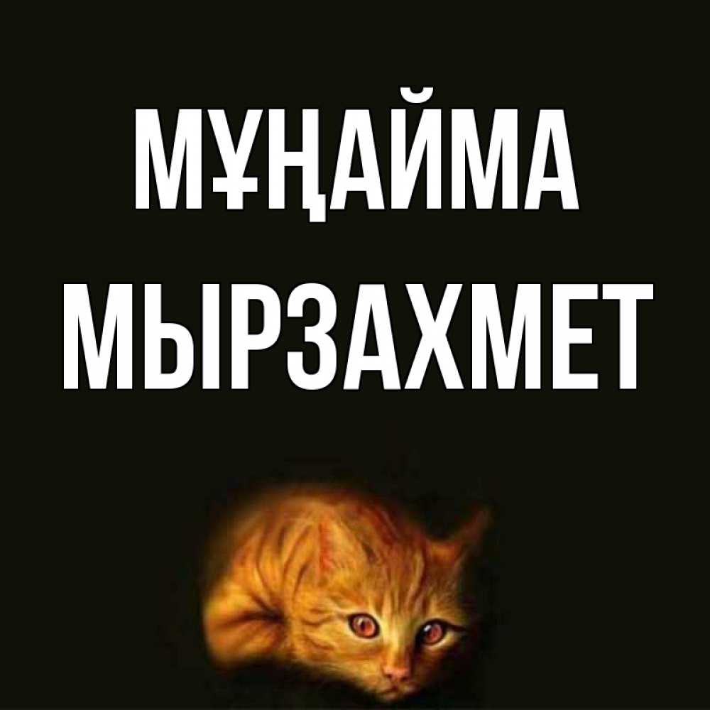 Күн сайын ашық хат с именем, МЫРЗАХМЕТ Мұңайма лежащий кот в темноте Онлайн тегін жүктеп алу тілектері бар керемет карта 