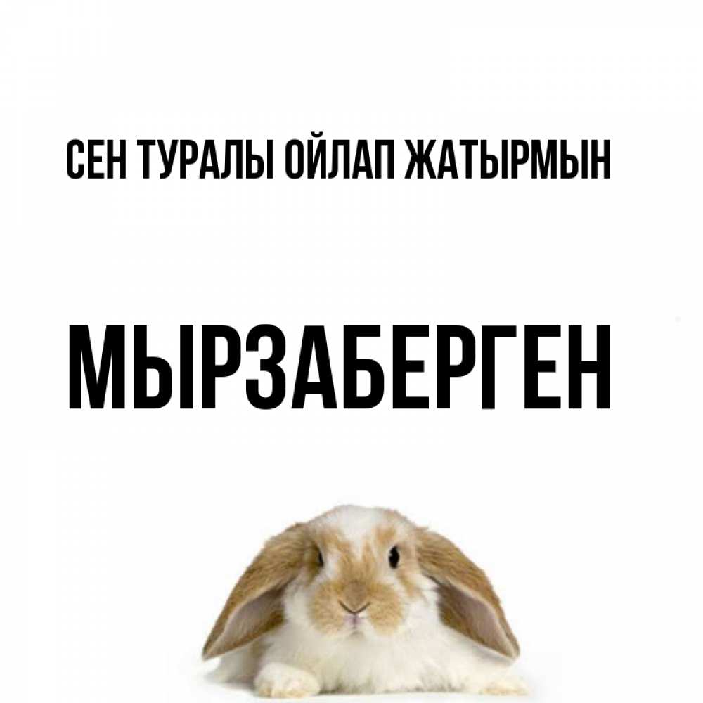 Күн сайын ашық хат с именем, Мырзаберген Сен туралы ойлап жатырмын подписать своими руками онлайн Онлайн тегін жүктеп алу тілектері бар керемет карта 