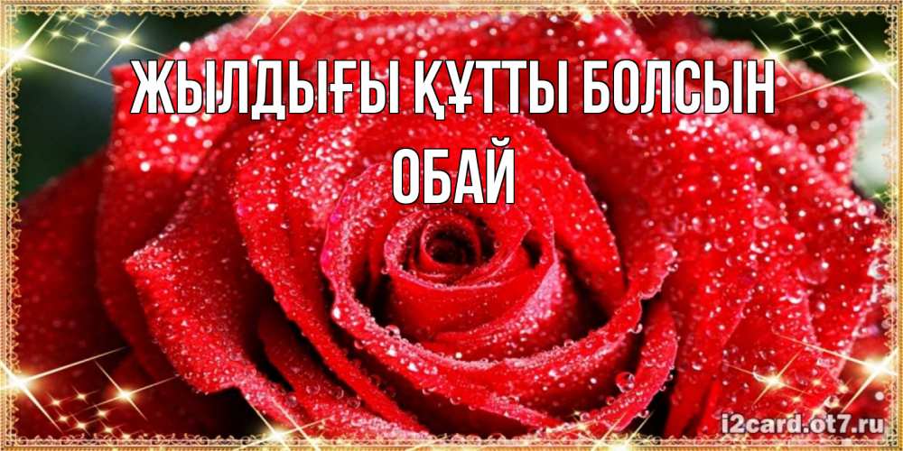 Күн сайын ашық хат с именем, ОБАЙ Жылдығы құтты болсын роса и роза. открытка с красивой розой Онлайн тегін жүктеп алу тілектері бар керемет карта 