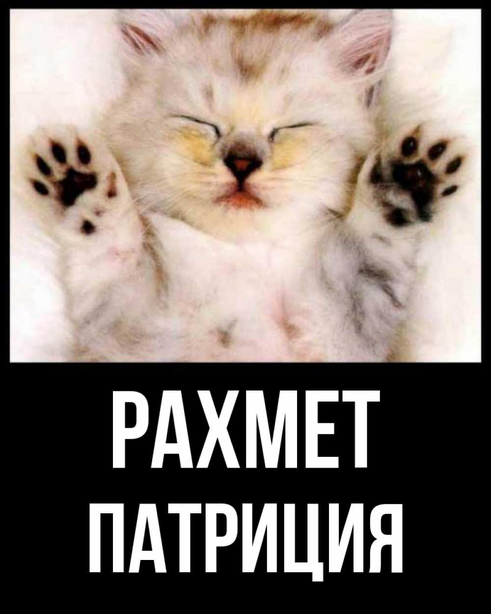 Күн сайын ашық хат с именем, Патриция рахмет маленький котенок Онлайн тегін жүктеп алу тілектері бар керемет карта 