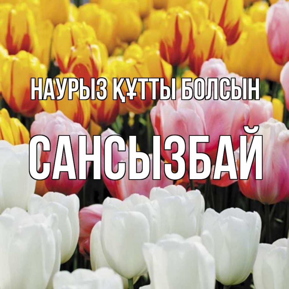 Күн сайын ашық хат с именем, САНСЫЗБАЙ Наурыз құтты болсын разноцветные цветы Онлайн тегін жүктеп алу тілектері бар керемет карта 