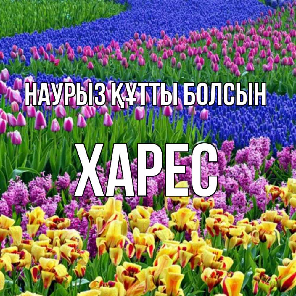 Күн сайын ашық хат с именем, ХАРЕС Наурыз құтты болсын цветы Онлайн тегін жүктеп алу тілектері бар керемет карта 