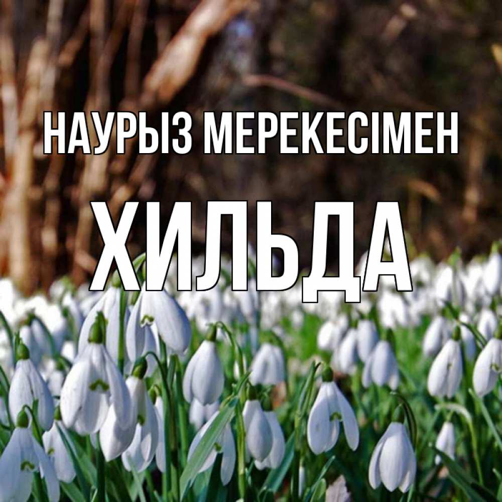 Күн сайын ашық хат с именем, Хильда Наурыз мерекесімен с подснежниками 1 Онлайн тегін жүктеп алу тілектері бар керемет карта 