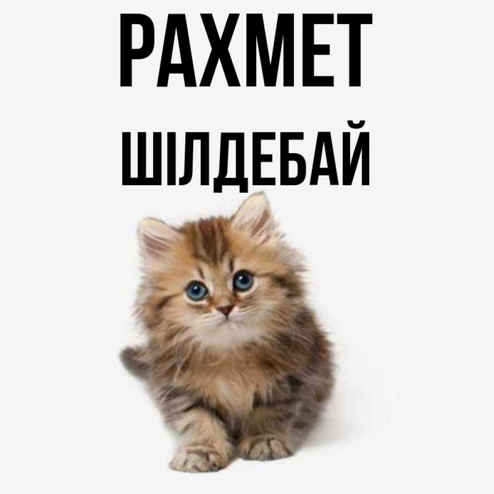 Күн сайын ашық хат с именем, ШІЛДЕБАЙ рахмет пушистый котик Онлайн тегін жүктеп алу тілектері бар керемет карта 