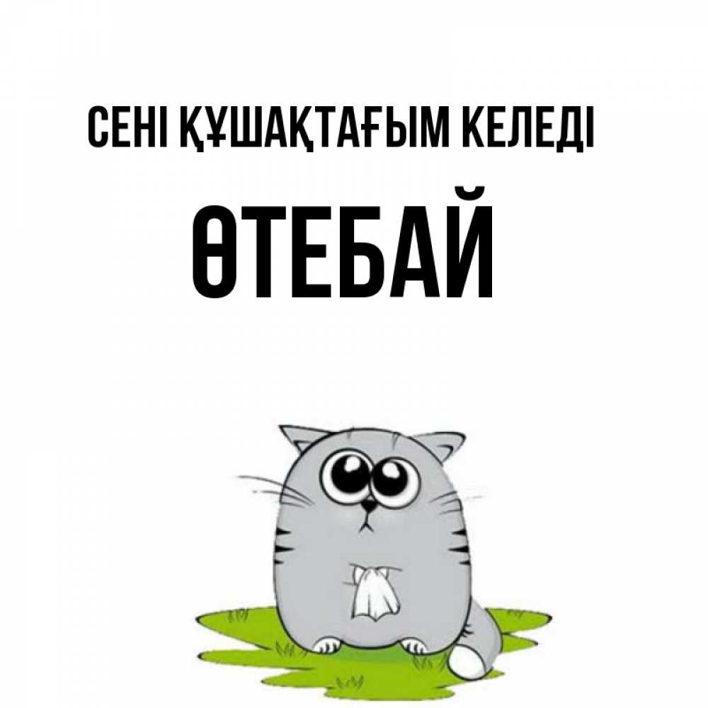 Күн сайын ашық хат с именем, ӨТЕБАЙ сені құшақтағым келеді котик теребит платочек сидя на травке Онлайн тегін жүктеп алу тілектері бар керемет карта 