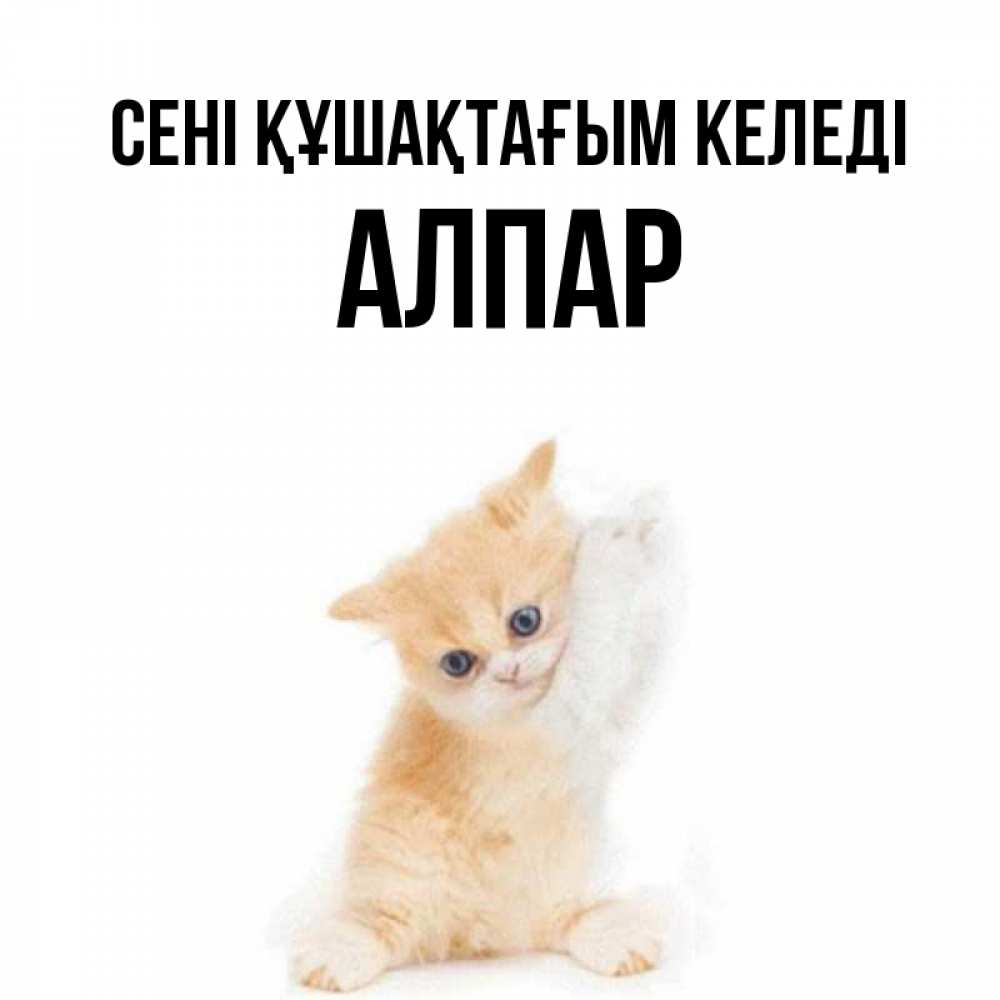 Күн сайын ашық хат с именем, Алпар сені құшақтағым келеді я хочу очень скорее обнимаешек Онлайн тегін жүктеп алу тілектері бар керемет карта 