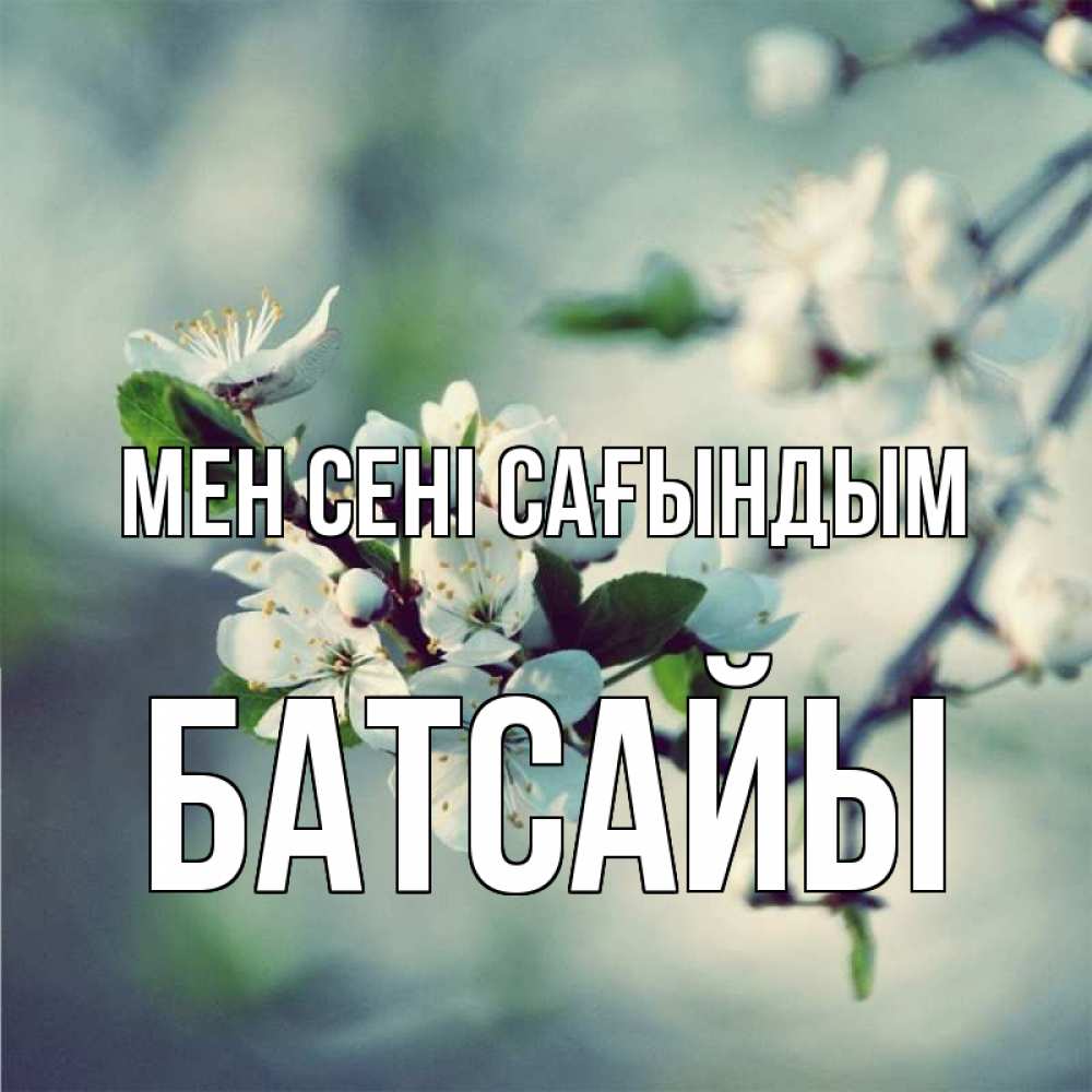 Күн сайын ашық хат с именем, Батсайы Мен сені сағындым весна Онлайн тегін жүктеп алу тілектері бар керемет карта 