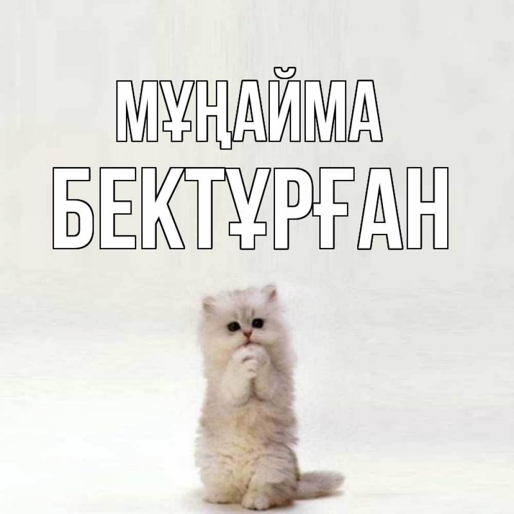 Күн сайын ашық хат с именем, Бектұрған Мұңайма грустный кот Онлайн тегін жүктеп алу тілектері бар керемет карта 