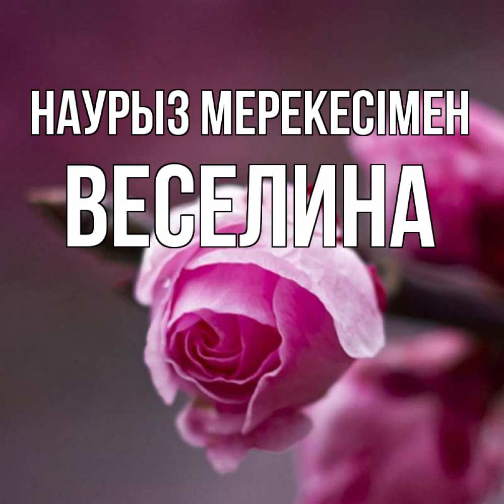 Күн сайын ашық хат с именем, Веселина Наурыз мерекесімен весна Онлайн тегін жүктеп алу тілектері бар керемет карта 