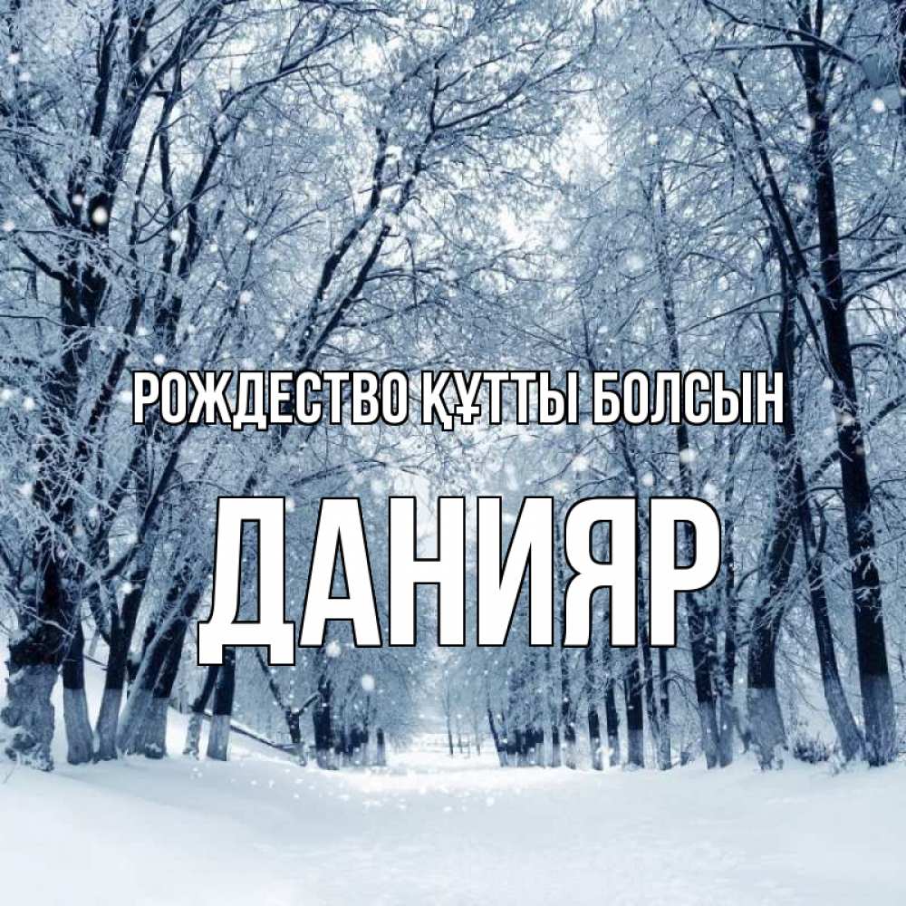 Күн сайын ашық хат с именем, Данияр Рождество құтты болсын снег, лес, парк Онлайн тегін жүктеп алу тілектері бар керемет карта 