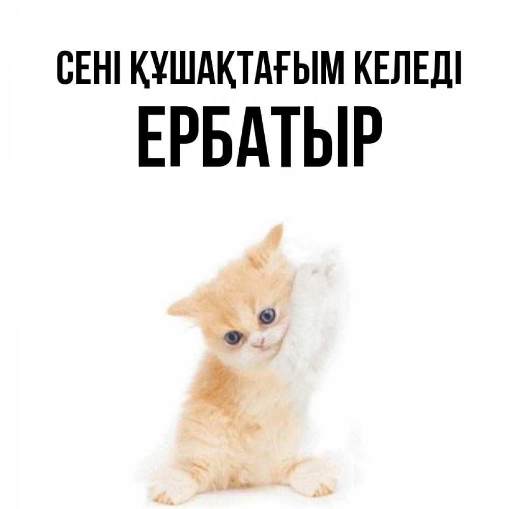 Күн сайын ашық хат с именем, Ербатыр сені құшақтағым келеді я хочу очень скорее обнимаешек Онлайн тегін жүктеп алу тілектері бар керемет карта 