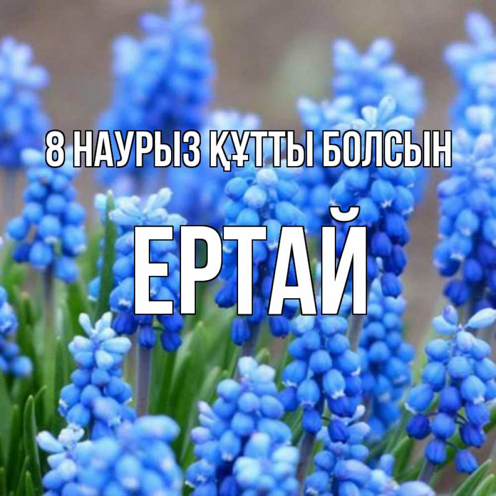 Күн сайын ашық хат с именем, Ертай 8 наурыз құтты болсын Поздравительная открытка для женщин с цветами на праздничную дату Онлайн тегін жүктеп алу тілектері бар керемет карта 