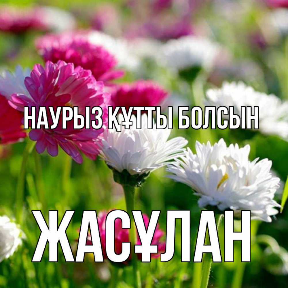 Күн сайын ашық хат с именем, Жасұлан Наурыз құтты болсын наурыз Онлайн тегін жүктеп алу тілектері бар керемет карта 