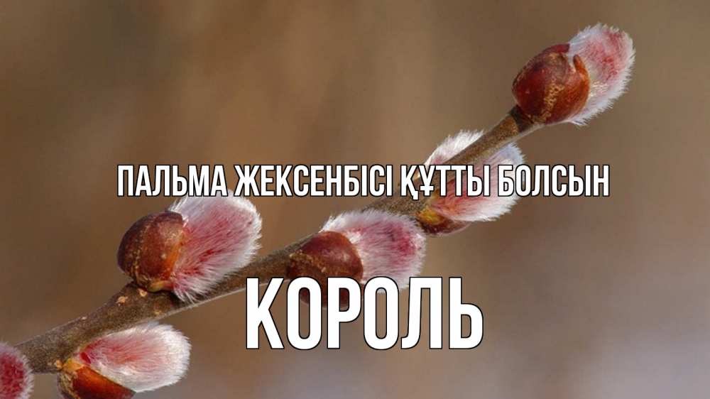 Күн сайын ашық хат с именем, Король Пальма жексенбісі құтты болсын верба Онлайн тегін жүктеп алу тілектері бар керемет карта 