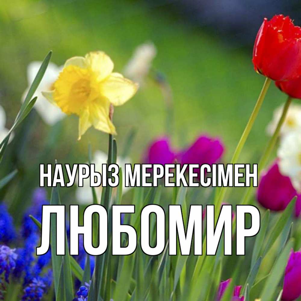 Күн сайын ашық хат с именем, Любомир Наурыз мерекесімен праздник весны наурыз 3 Онлайн тегін жүктеп алу тілектері бар керемет карта 