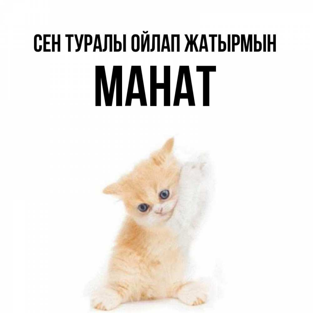 Күн сайын ашық хат с именем, МАНАТ Сен туралы ойлап жатырмын зверушки и милота Онлайн тегін жүктеп алу тілектері бар керемет карта 