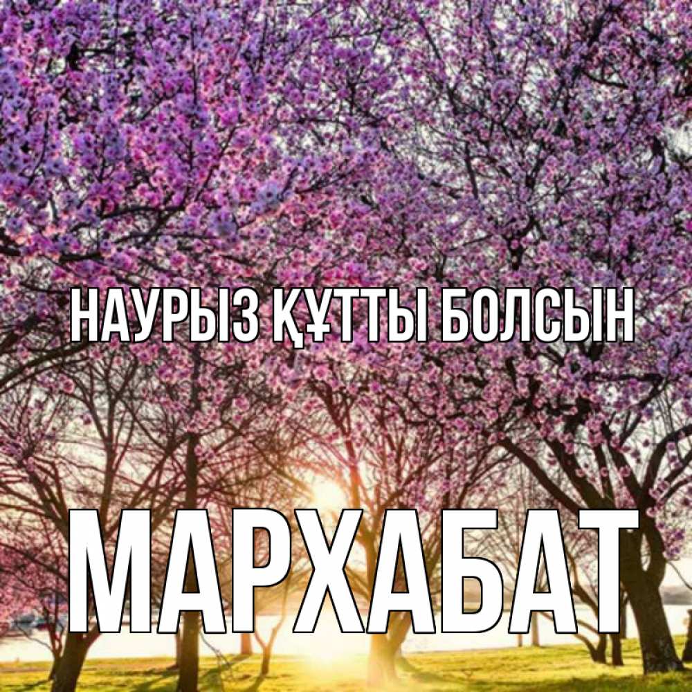 Күн сайын ашық хат с именем, МАРХАБАТ Наурыз құтты болсын наурыз Онлайн тегін жүктеп алу тілектері бар керемет карта 