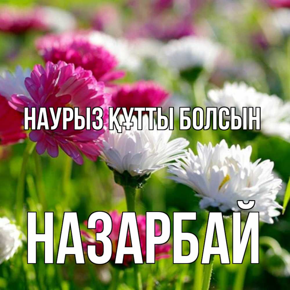 Күн сайын ашық хат с именем, НАЗАРБАЙ Наурыз құтты болсын наурыз Онлайн тегін жүктеп алу тілектері бар керемет карта 