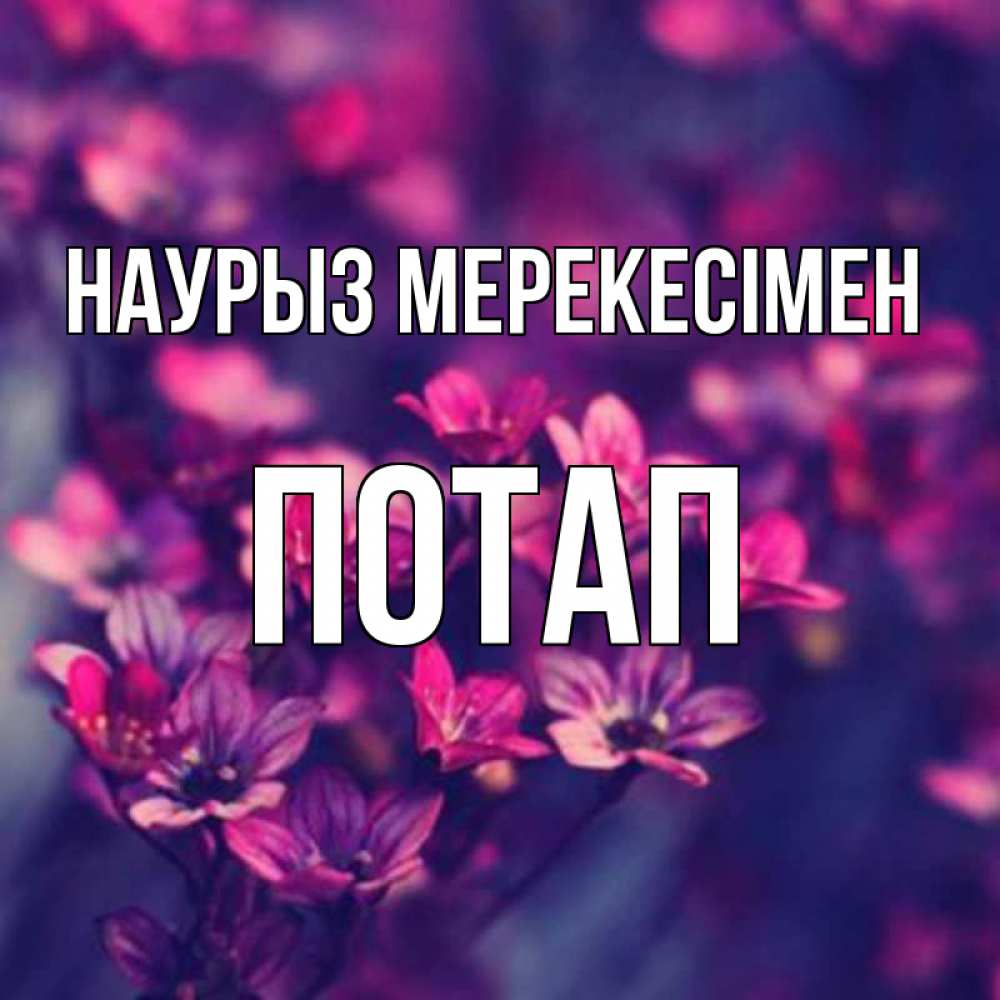 Күн сайын ашық хат с именем, Потап Наурыз мерекесімен небольшие цветы 1 Онлайн тегін жүктеп алу тілектері бар керемет карта 