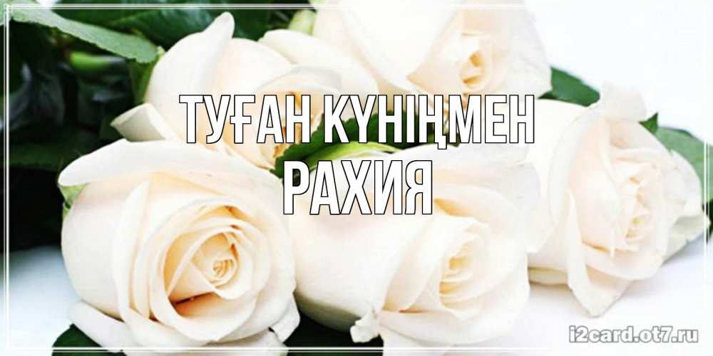Күн сайын ашық хат с именем, РАХИЯ Туған күніңмен открытка с красивыми белыми розами для родных Онлайн тегін жүктеп алу тілектері бар керемет карта 
