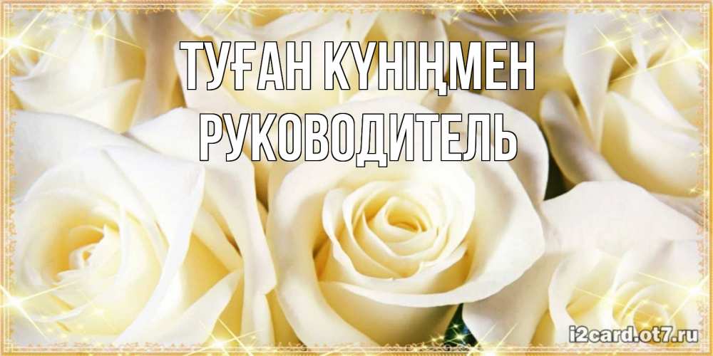 Күн сайын ашық хат с именем, Руководитель Туған күніңмен розочки белого цвета на открытке Онлайн тегін жүктеп алу тілектері бар керемет карта 
