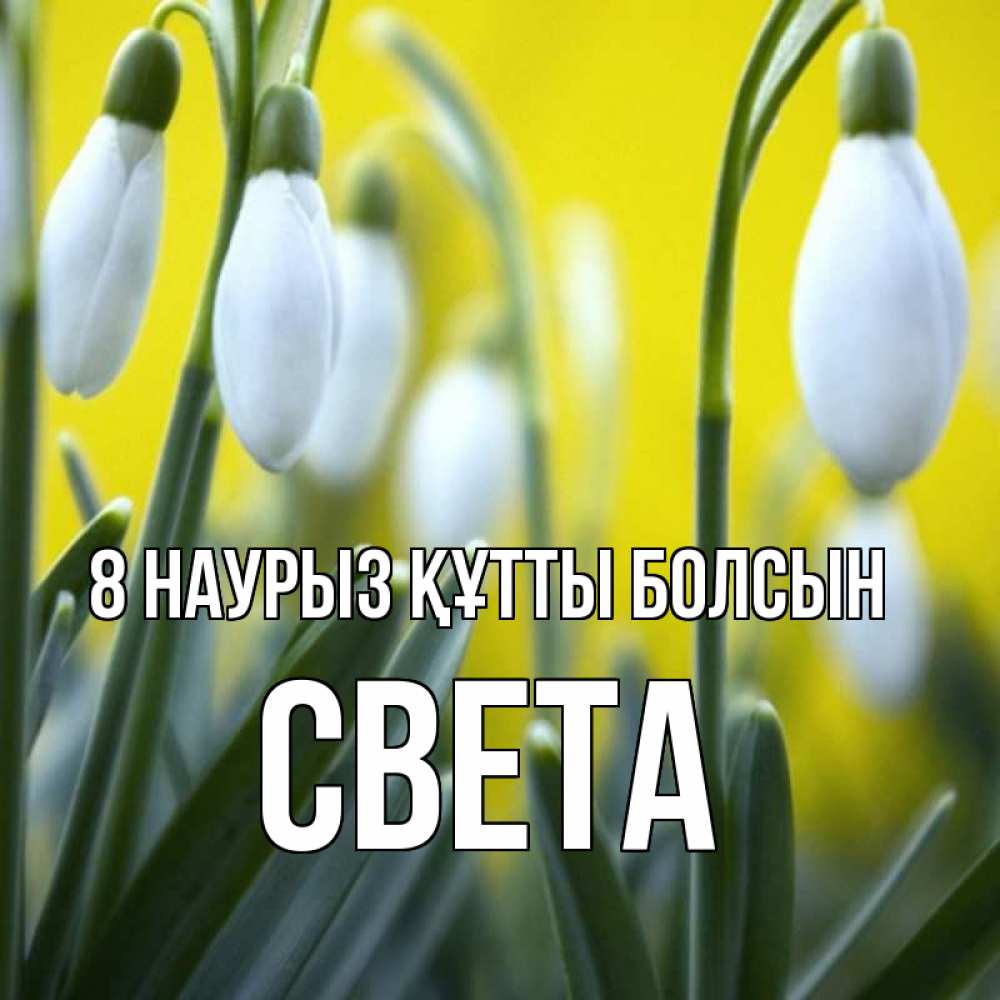 Күн сайын ашық хат с именем, Света 8 наурыз құтты болсын весенние цветы Онлайн тегін жүктеп алу тілектері бар керемет карта 
