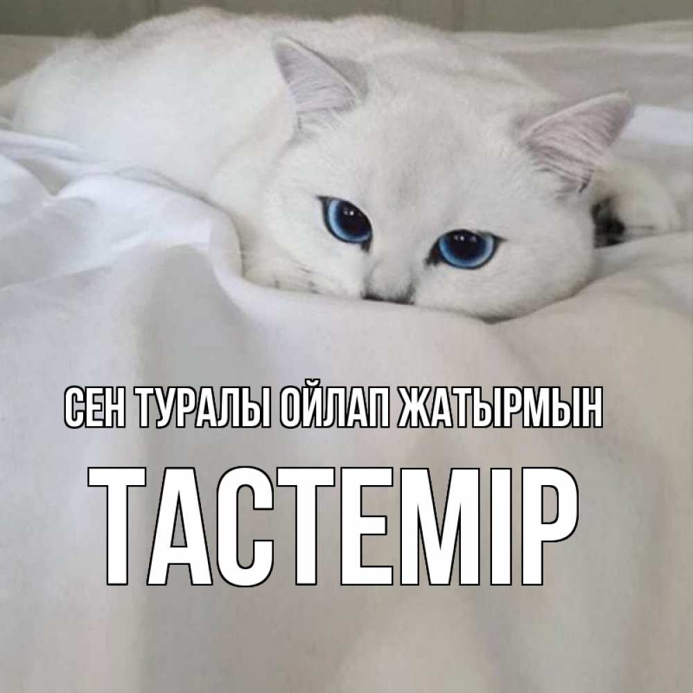 Күн сайын ашық хат с именем, ТАСТЕМІР Сен туралы ойлап жатырмын я очень по тебе скучаю и тоскую Онлайн тегін жүктеп алу тілектері бар керемет карта 