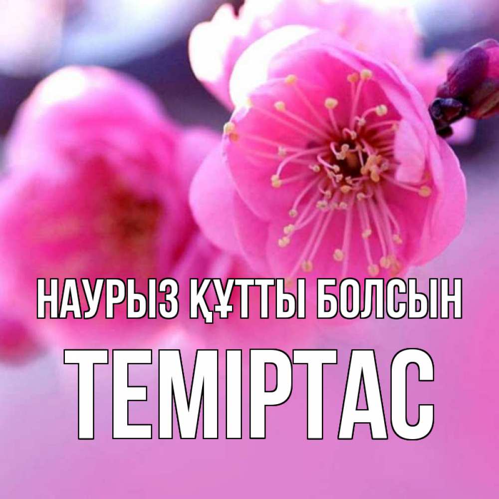 Күн сайын ашық хат с именем, ТЕМІРТАС Наурыз құтты болсын наурыз мейрам Онлайн тегін жүктеп алу тілектері бар керемет карта 