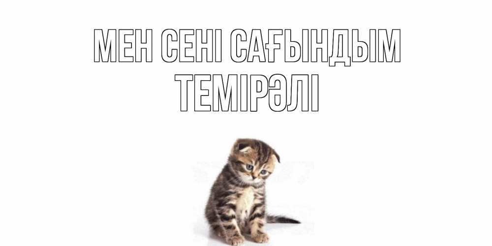 Күн сайын ашық хат с именем, ТЕМІРӘЛІ Мен сені сағындым кот Онлайн тегін жүктеп алу тілектері бар керемет карта 