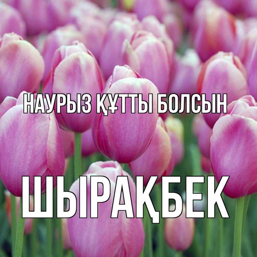 Күн сайын ашық хат с именем, ШЫРАҚБЕК Наурыз құтты болсын на наурыз  день 3 Онлайн тегін жүктеп алу тілектері бар керемет карта 