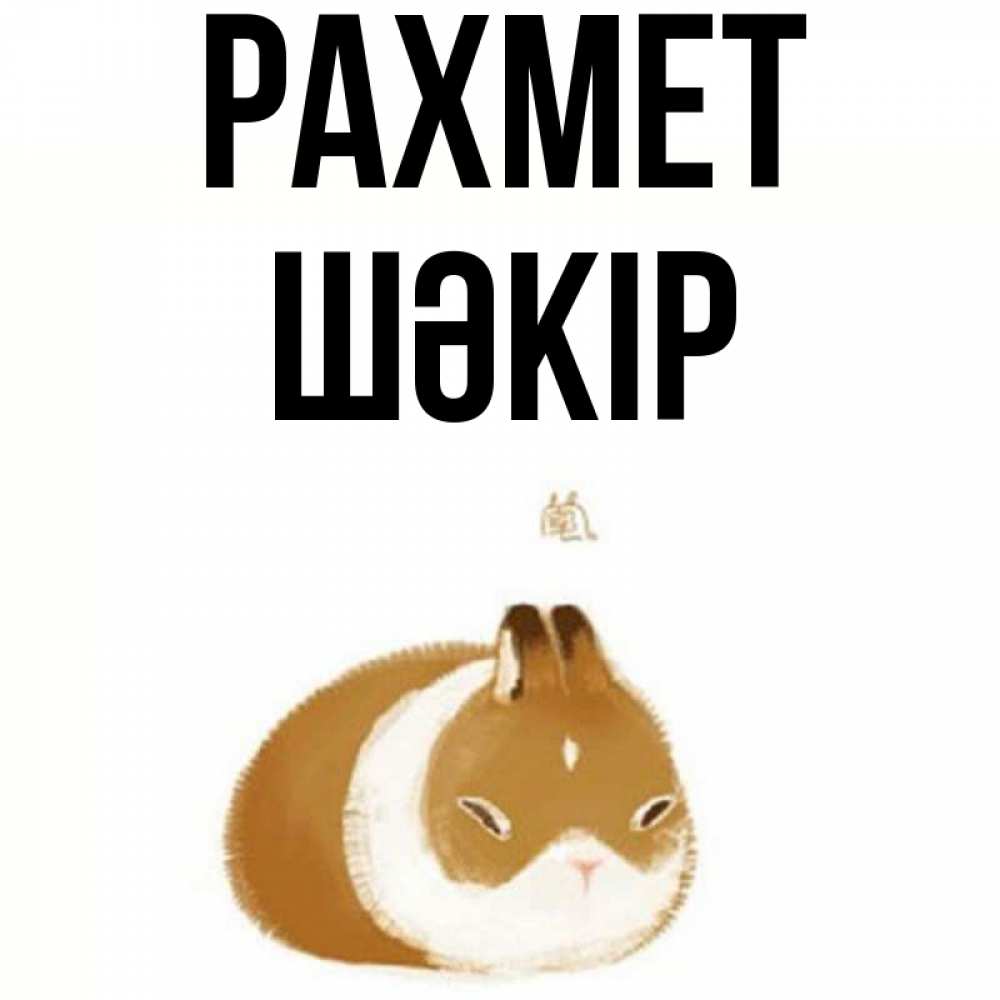 Күн сайын ашық хат с именем, ШӘКІР рахмет коричнево белый домашний питомец Онлайн тегін жүктеп алу тілектері бар керемет карта 