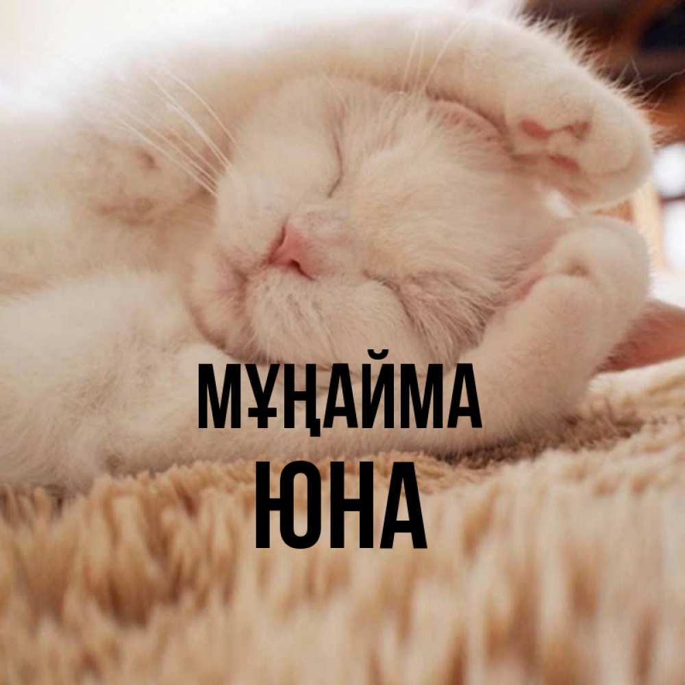Күн сайын ашық хат с именем, Юна Мұңайма Котенок спит Онлайн тегін жүктеп алу тілектері бар керемет карта 