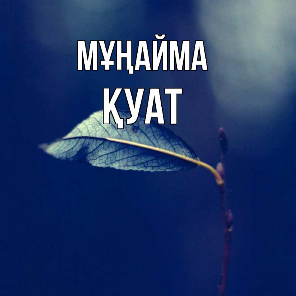 Күн сайын ашық хат с именем, ҚУАТ Мұңайма растение Онлайн тегін жүктеп алу тілектері бар керемет карта 