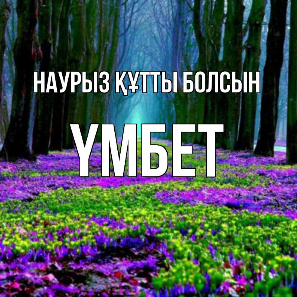 Күн сайын ашық хат с именем, ҮМБЕТ Наурыз құтты болсын фиолетовые цветы в лесу 1 Онлайн тегін жүктеп алу тілектері бар керемет карта 