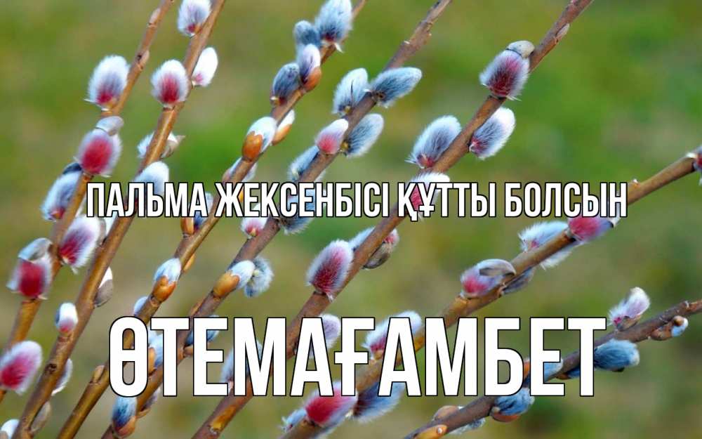 Күн сайын ашық хат с именем, ӨТЕМАҒАМБЕТ Пальма жексенбісі құтты болсын верба Онлайн тегін жүктеп алу тілектері бар керемет карта 
