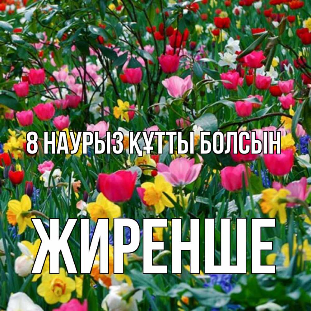 Күн сайын ашық хат с именем, Жиренше 8 наурыз құтты болсын с международным женским днем поздравления для женщины Онлайн тегін жүктеп алу тілектері бар керемет карта 