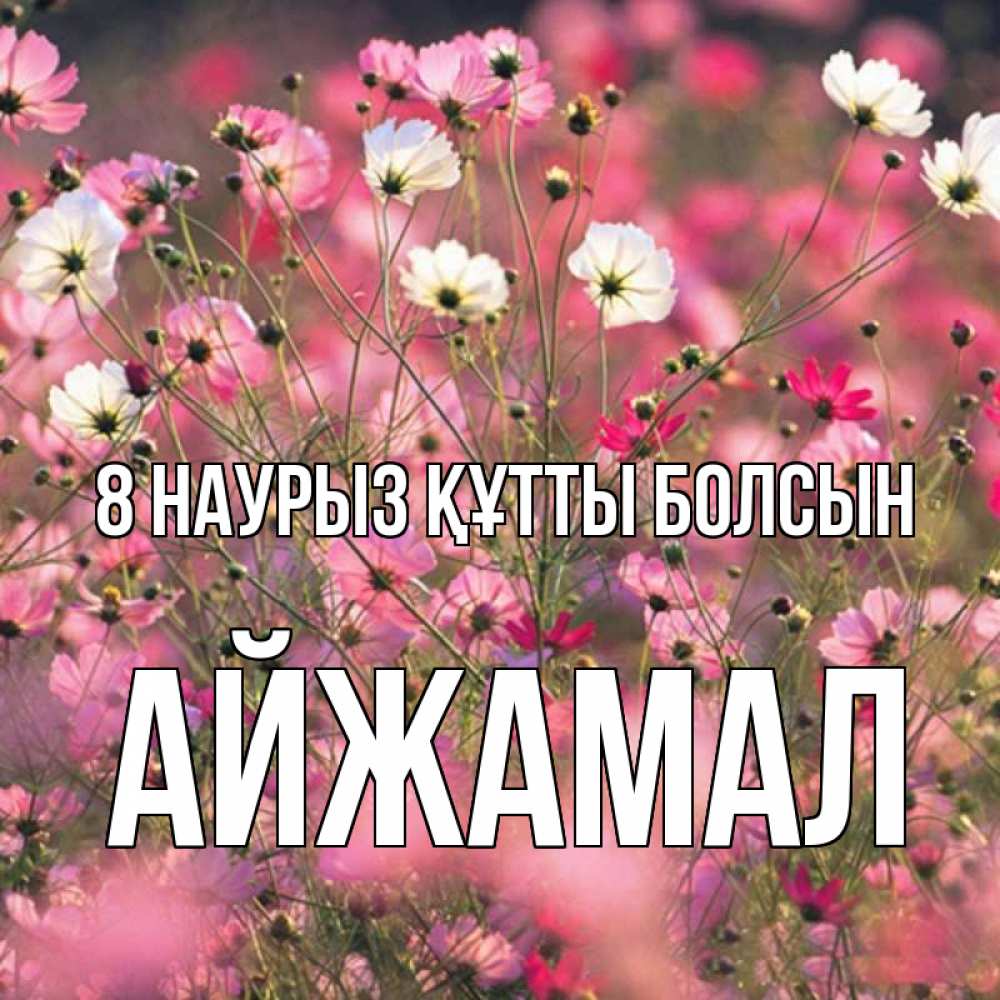 Күн сайын ашық хат с именем, АЙЖАМАЛ 8 наурыз құтты болсын красиво 1 Онлайн тегін жүктеп алу тілектері бар керемет карта 