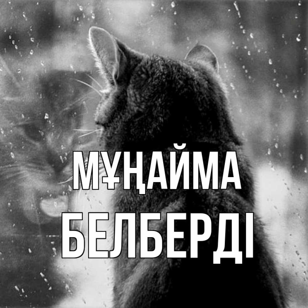 Күн сайын ашық хат с именем, Белберді Мұңайма отражение кота 1 Онлайн тегін жүктеп алу тілектері бар керемет карта 