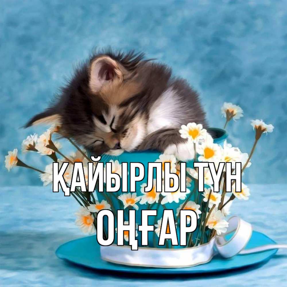 Күн сайын ашық хат с именем, ОҢҒАР Қайырлы түн котенок спит в кружке с блюдцем Онлайн тегін жүктеп алу тілектері бар керемет карта 