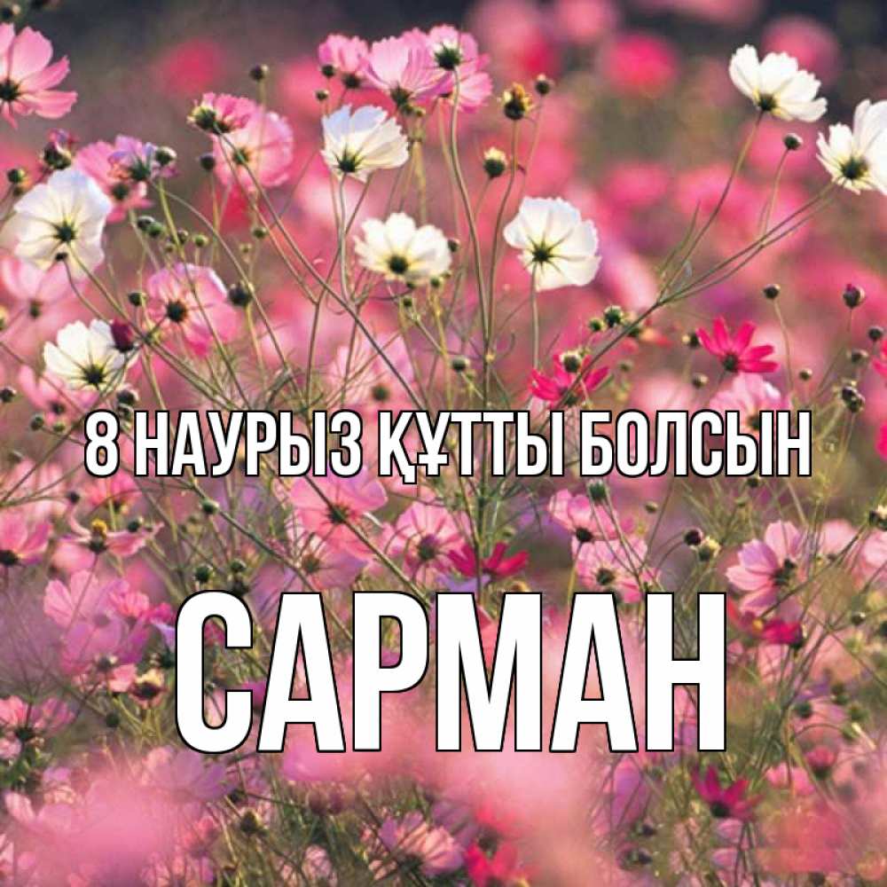 Күн сайын ашық хат с именем, САРМАН 8 наурыз құтты болсын красиво 1 Онлайн тегін жүктеп алу тілектері бар керемет карта 