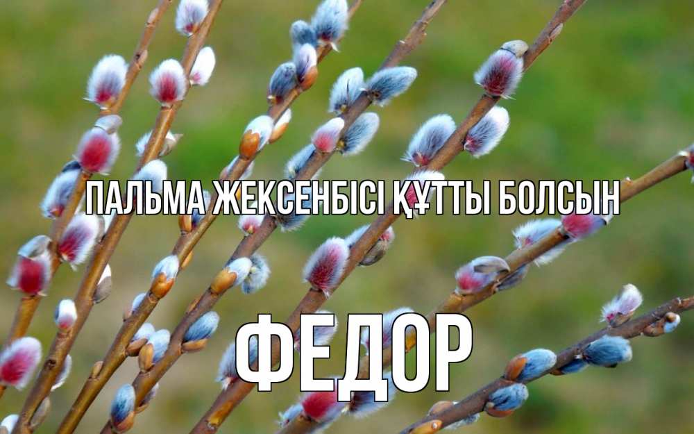 Картинка Пальма жексенбісі құтты болсын, Федор