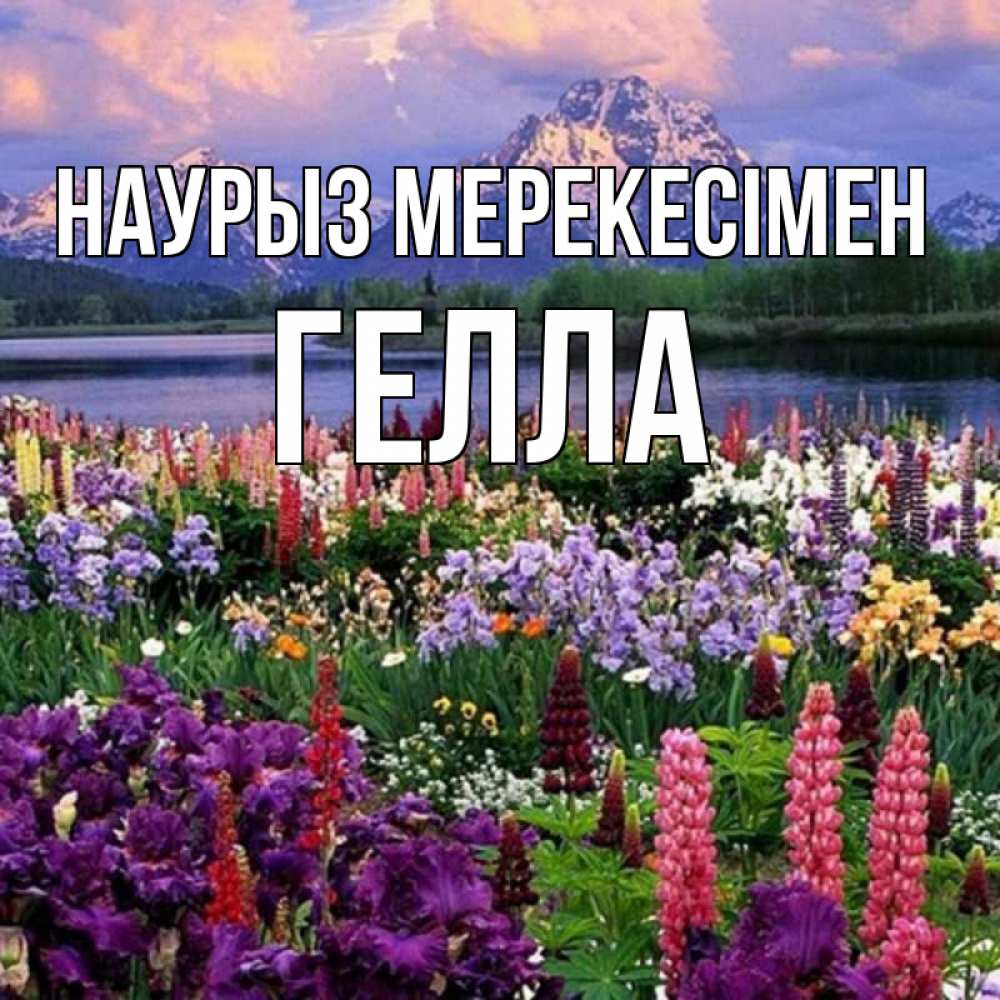 Күн сайын ашық хат с именем, Гелла Наурыз мерекесімен праздник весны наурыз Онлайн тегін жүктеп алу тілектері бар керемет карта 