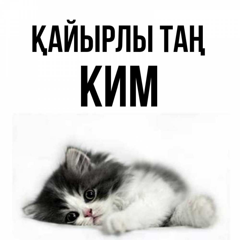 Күн сайын ашық хат с именем, Ким Қайырлы таң кот лапки Онлайн тегін жүктеп алу тілектері бар керемет карта 