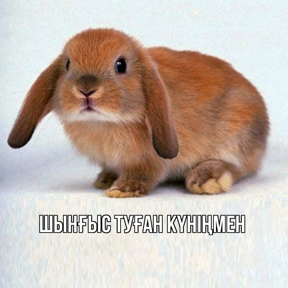 Картинка  с именем , ШЫНҒЫС! ТУҒАН КҮНІҢМЕН!