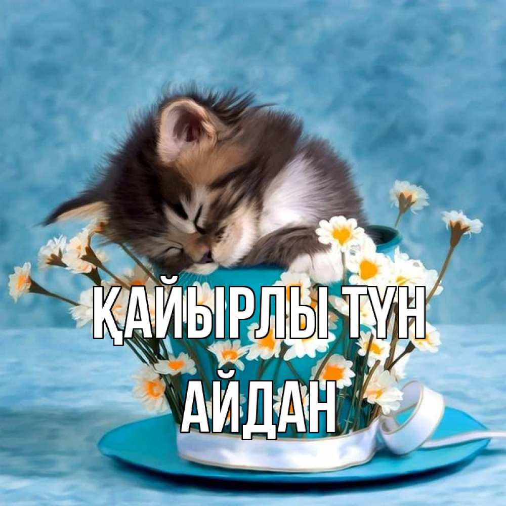 Күн сайын ашық хат с именем, Айдан Қайырлы түн котенок спит в кружке с блюдцем Онлайн тегін жүктеп алу тілектері бар керемет карта 