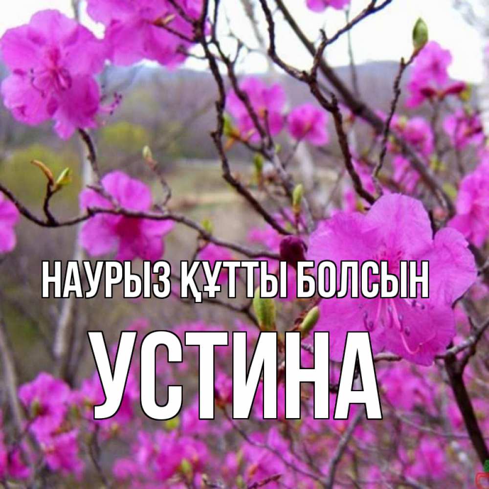 Күн сайын ашық хат с именем, Устина Наурыз құтты болсын наурыз мейрамы кутты болсын Онлайн тегін жүктеп алу тілектері бар керемет карта 