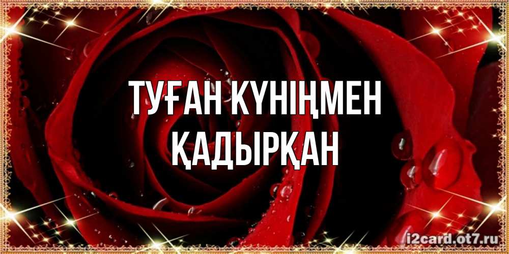 Күн сайын ашық хат с именем, Қадырқан Туған күніңмен цветок в росе на день рождения Онлайн тегін жүктеп алу тілектері бар керемет карта 