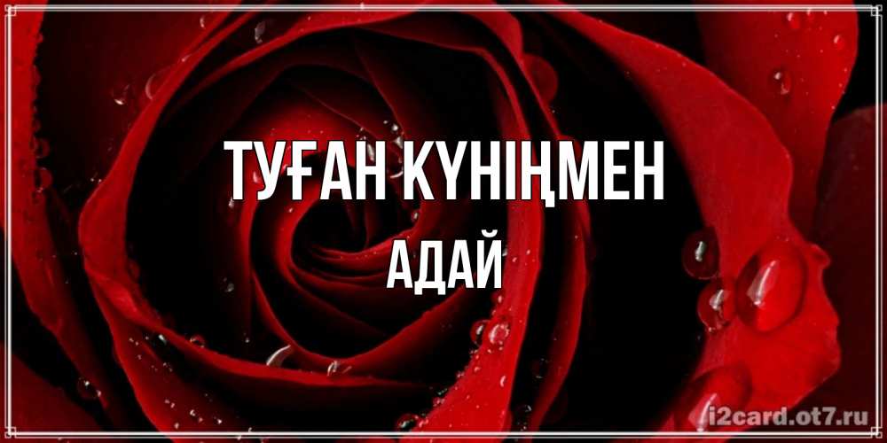Күн сайын ашық хат с именем, Адай Туған күніңмен крупная бордовая роза Онлайн тегін жүктеп алу тілектері бар керемет карта 